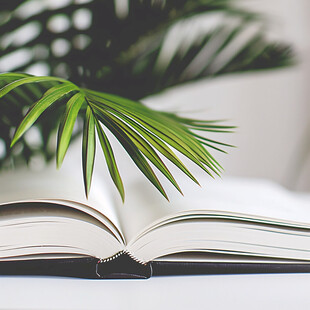 植物书本背景