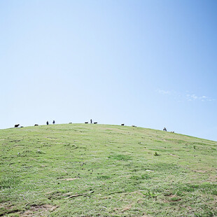 山坡坡地草地