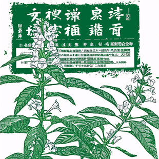 桂花酿标签