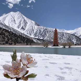 然乌湖雪山湖泊