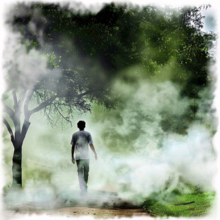 行道树寂寞的男人