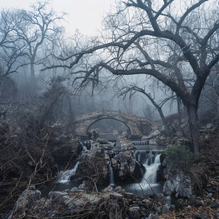 古石拱桥与古树秋千架