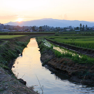 乡间小溪夕阳夕下