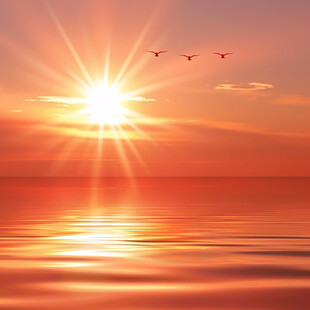 太阳落山海平面海洋