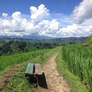 田间风景田梯风景