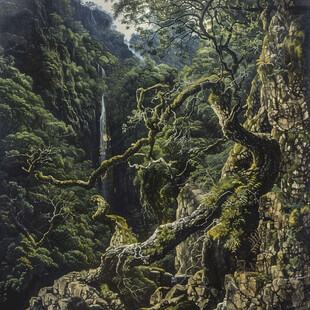 雨林装饰画