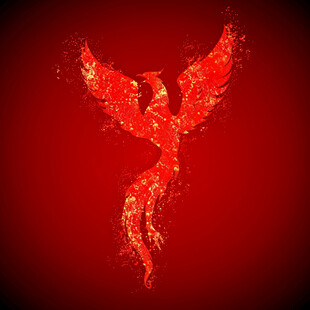 红色鹰设计
