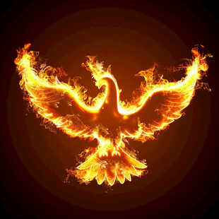 火鸟火凤神火圣火凤凰