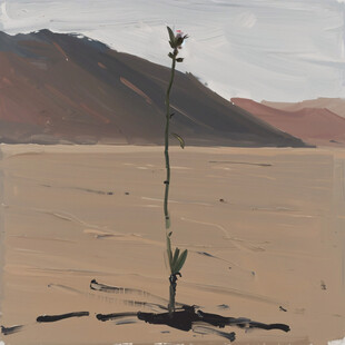 沙漠肉苁蓉插画