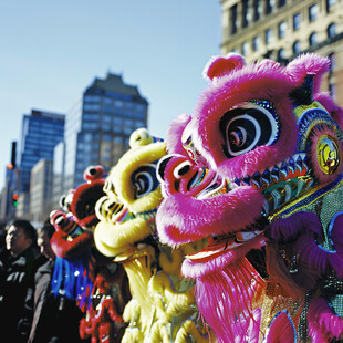 舞龙舞狮国际交流