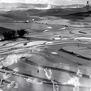 梯田黑白画