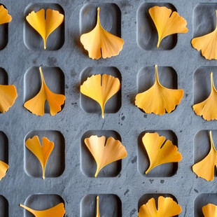 银杏叶陶瓷花片