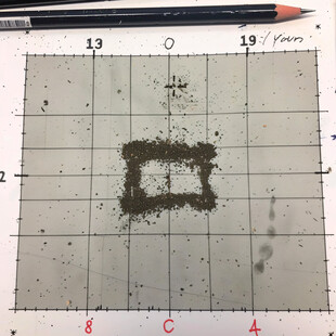 珊瑚虫骨骼聚集物