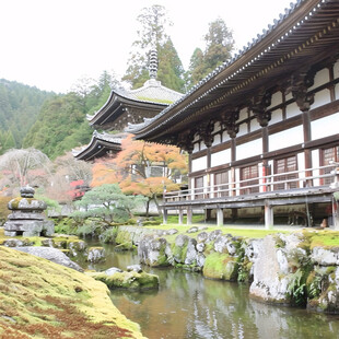 高山寺庙湖水