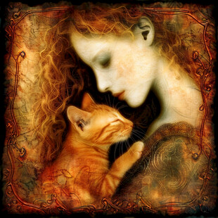 抱猫美女猫插画