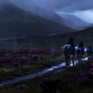 花海里奔跑的野马