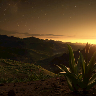 山地丘陵草场夕阳