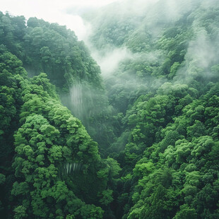 山林喷绘素材