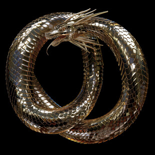 白条锦蛇全身骨骼