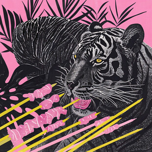 野性野蛮装饰插画