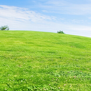 绿草地小山坡