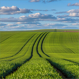 超宽幅田园景色