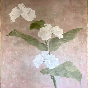 茉莉花绘画