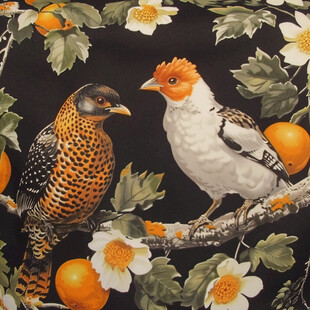 欧美风格鸟花卉