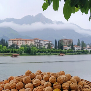 湖边别墅湖畔人家