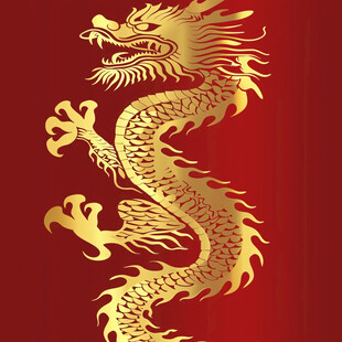 龙纹中国龙腾龙生肖龙