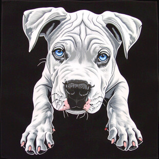 狗狗装饰画