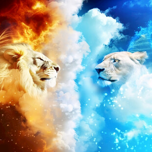 数码印花狮子动物