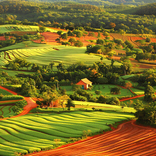 色彩农田自然风光