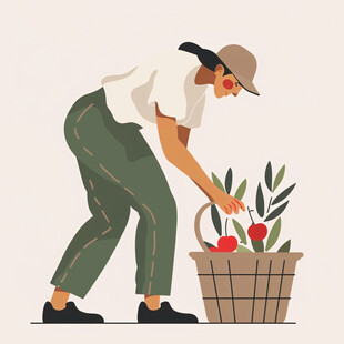 农民摘果实农产品水果