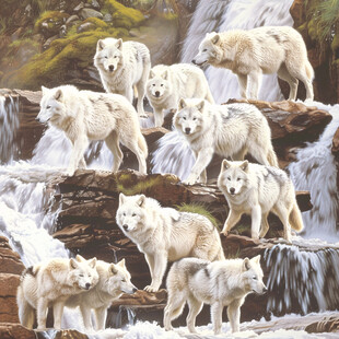 手绘时尚北极狼挂画