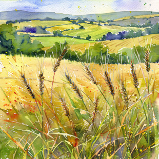 麦田水彩画