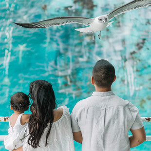 行人旅游人观鸟