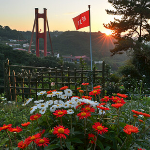 枸杞岛风光