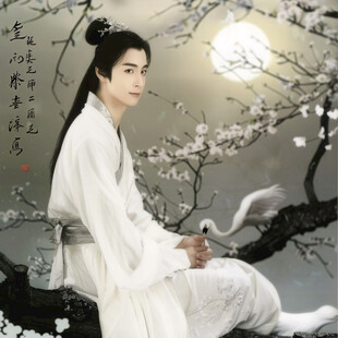 古典美男古装美男