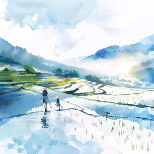 水田大米插画