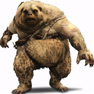 雄壮的动物插画