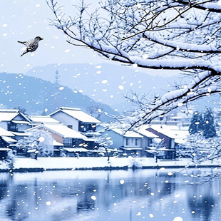 江南雪景水乡雪景