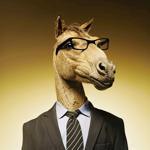 创意马马头创意