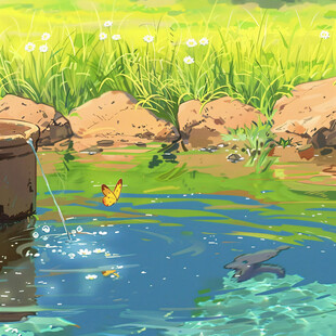 夏日池塘边小鱼