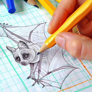 手绘图彩绘彩图