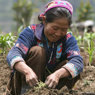 少数民族妇女劳动