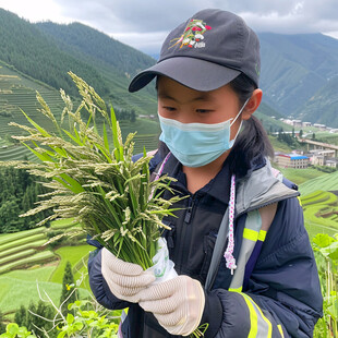 小站稻拓植者