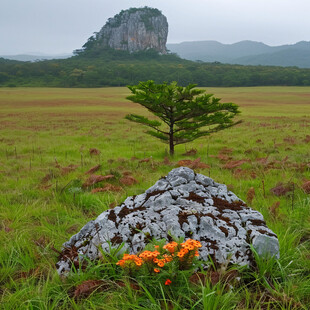 江郎山三爿石