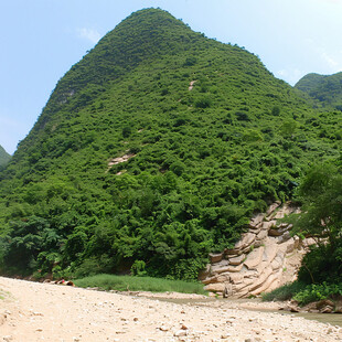 河谷沟壑植被