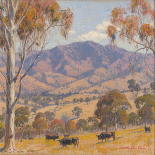 澳大利亚水彩展板挂画